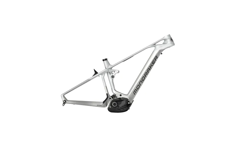 Electric Bike Frames