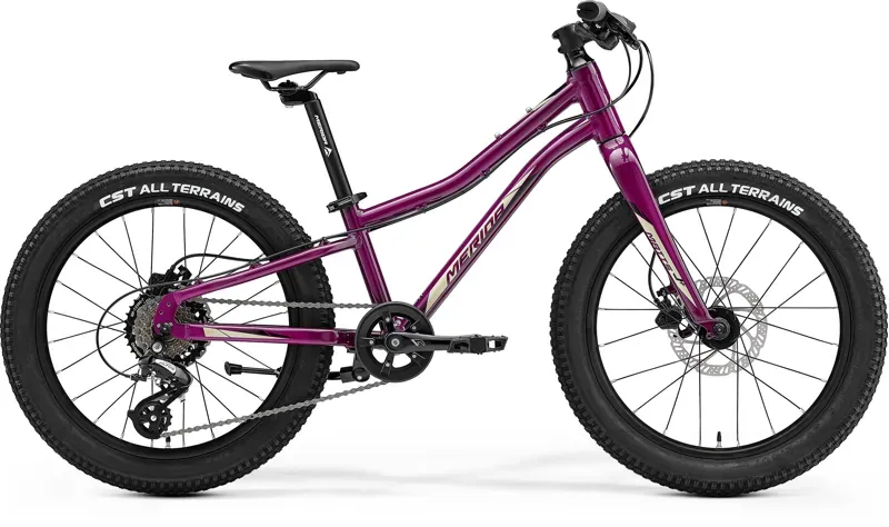 Merida Kid's Matts 20 Inch Bike Purple